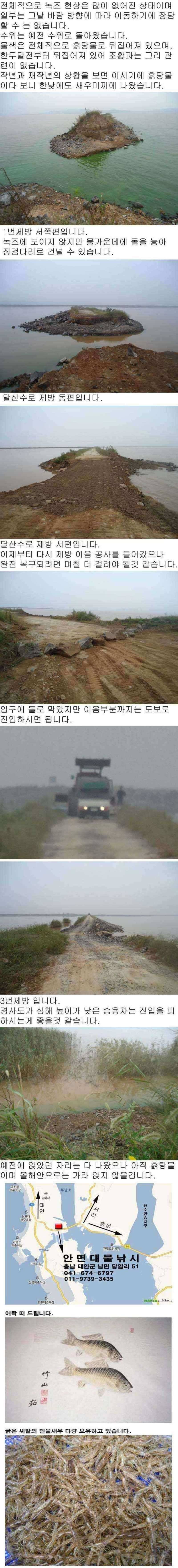 912 부남호 수위 상황 안내 (조황조행기 - 특파원조황)