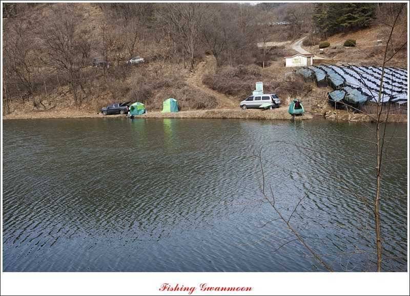 달천강괴산권 조황 (조황조행기 - 특파원조황)