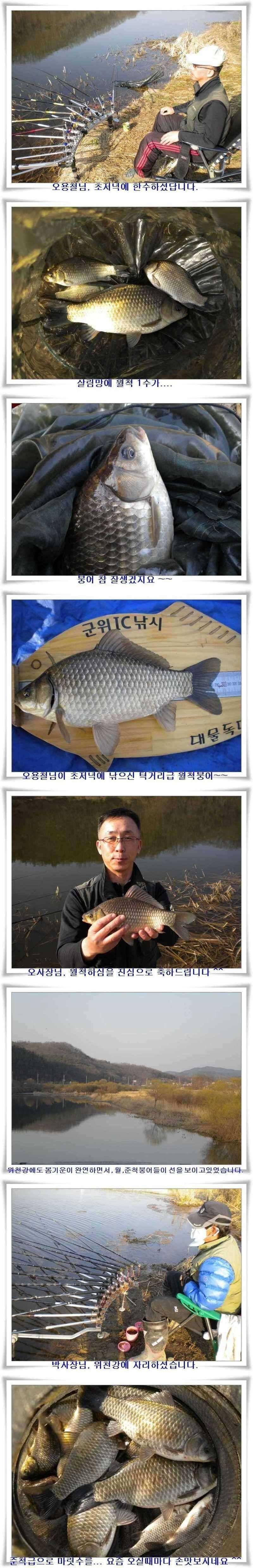 곳곳에서 월준척이 (조황조행기 - 특파원조황)