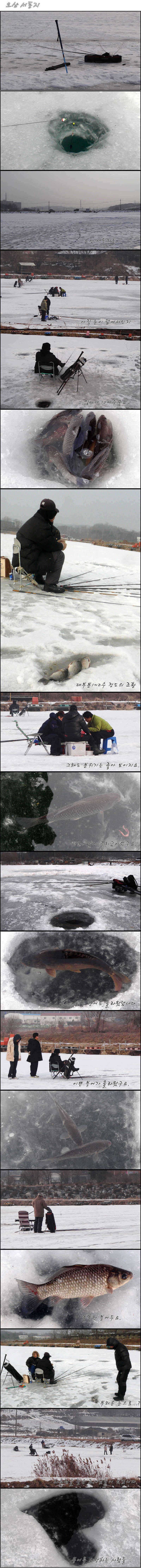 조황이 살아나는 서동지 (조황조행기 - 특파원조황)