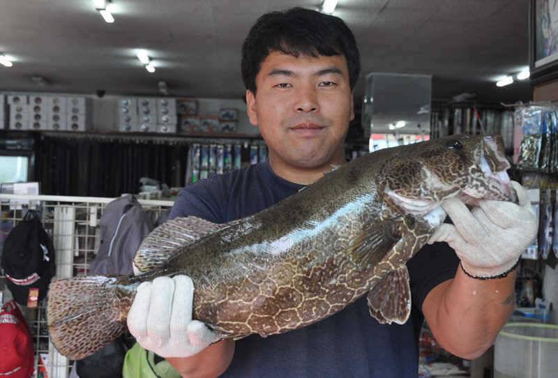충주호 주말조황 및 58cm 대물쏘가리 모습 (조황조행기 - 특파원조황)