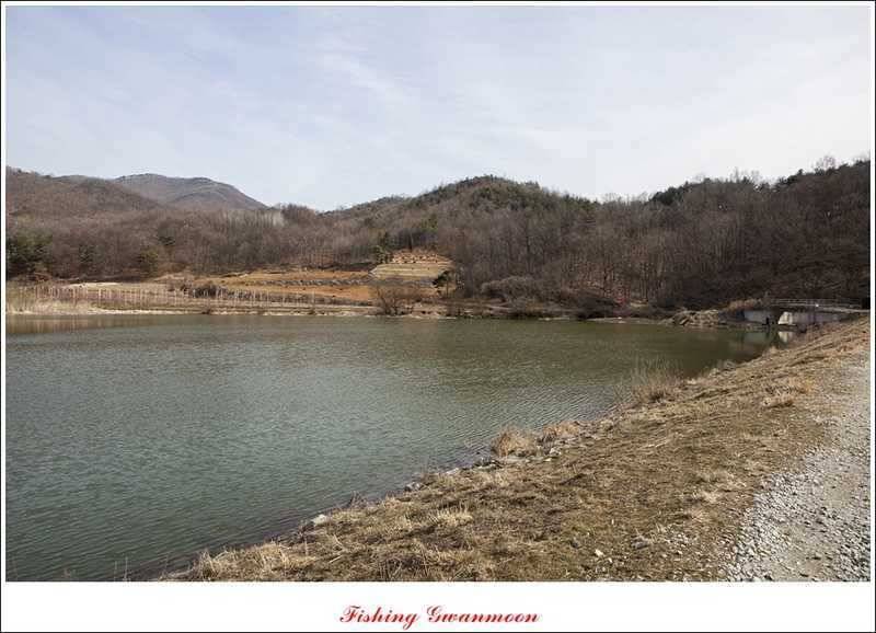 달천강괴산권 조황 (조황조행기 - 특파원조황)