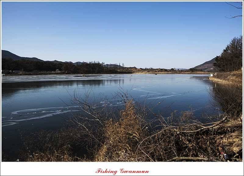 괴산권 소류지 월척 및 빙어 조황 (조황조행기 - 특파원조황)