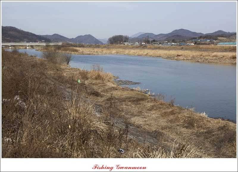 달천강괴산권 조황 (조황조행기 - 특파원조황)
