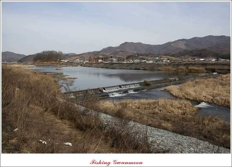 달천강괴산권 조황 (조황조행기 - 특파원조황)