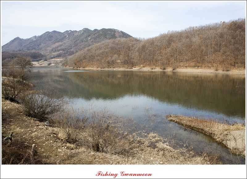 달천강괴산권 조황 (조황조행기 - 특파원조황)