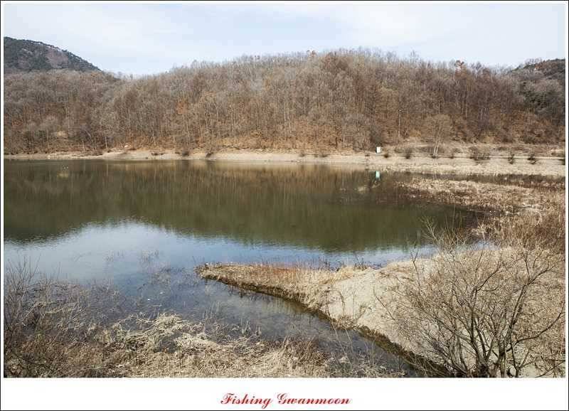달천강괴산권 조황 (조황조행기 - 특파원조황)