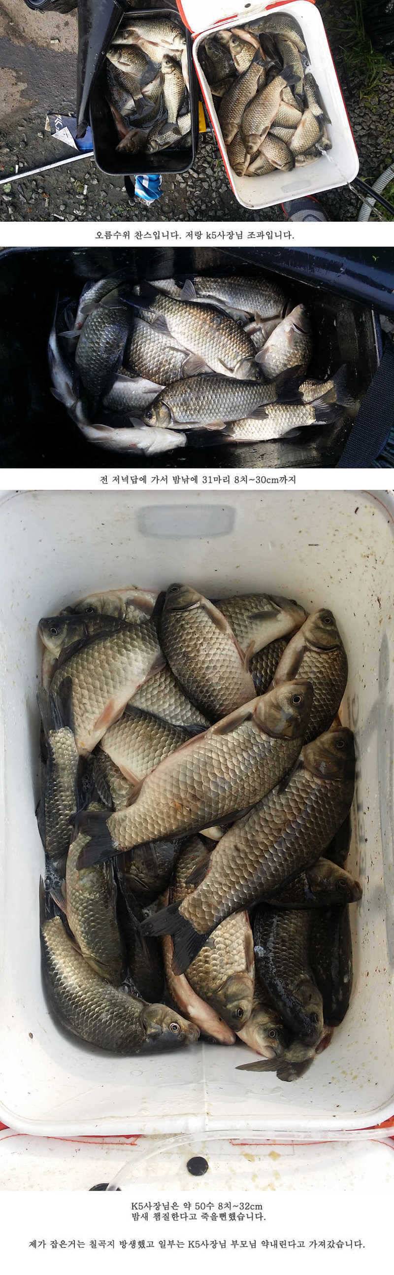 청도권 오름수위 빵빵터집니다 (조황조행기 - 특파원조황)