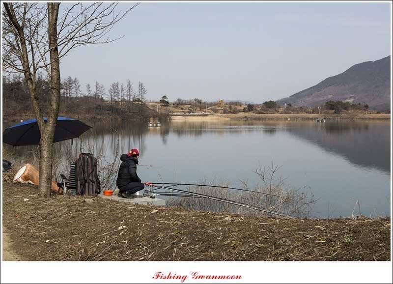 달천강괴산권 조황 (조황조행기 - 특파원조황)