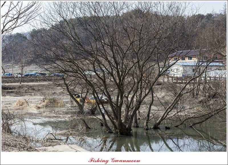 달천강괴산권 조황 (조황조행기 - 특파원조황)