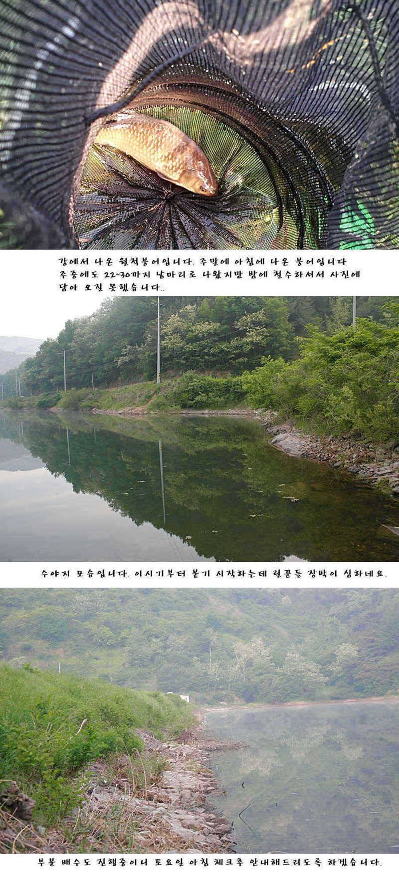 청도권주말 주중 조황 (조황조행기 - 특파원조황)