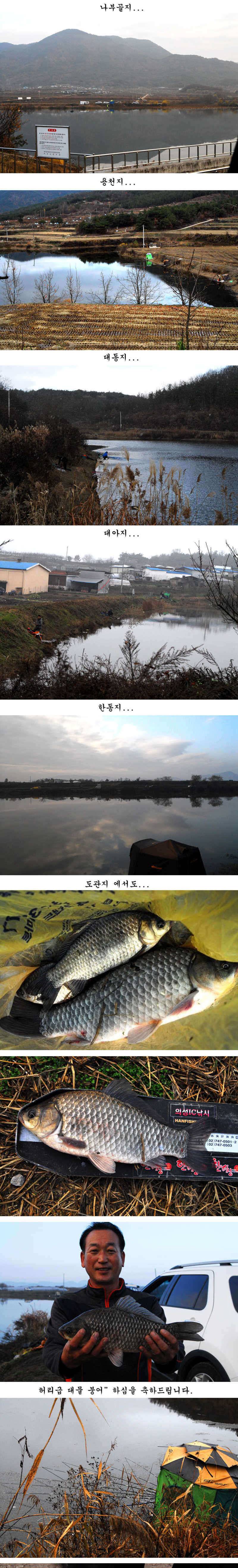 거함을 만난 올빼미님 (조황조행기 - 특파원조황)