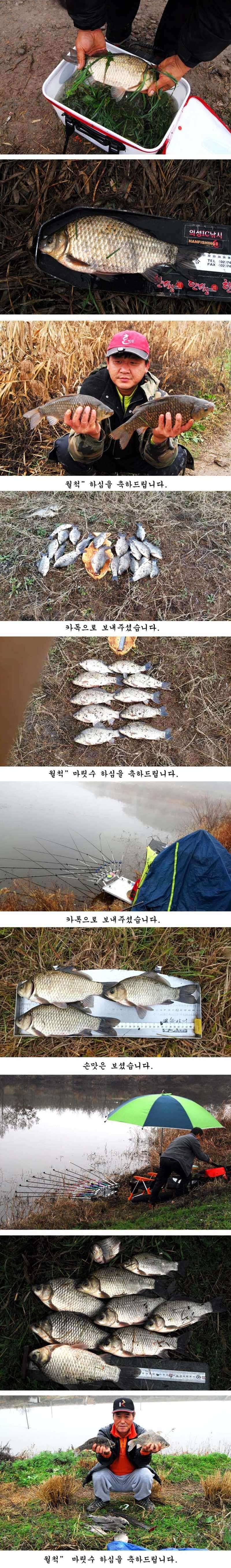 거함을 만난 올빼미님 (조황조행기 - 특파원조황)