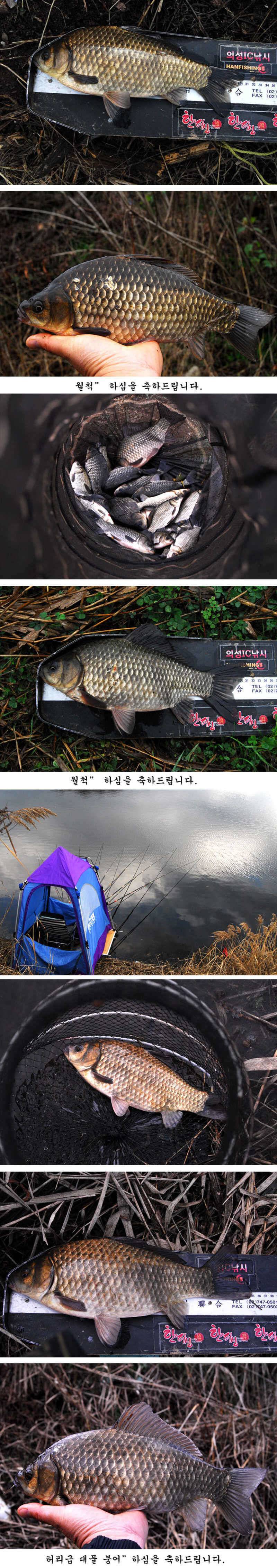 거함을 만난 올빼미님 (조황조행기 - 특파원조황)