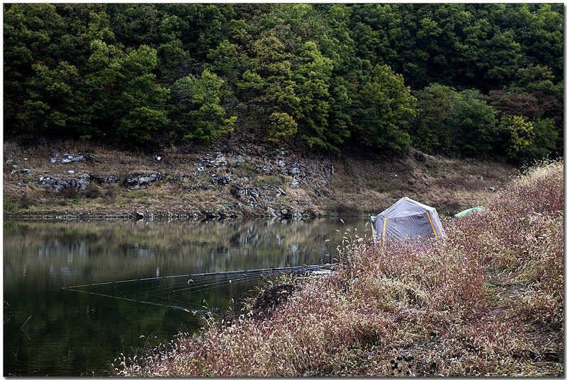 제일 사짜노지 대물들 (조황조행기 - 특파원조황)