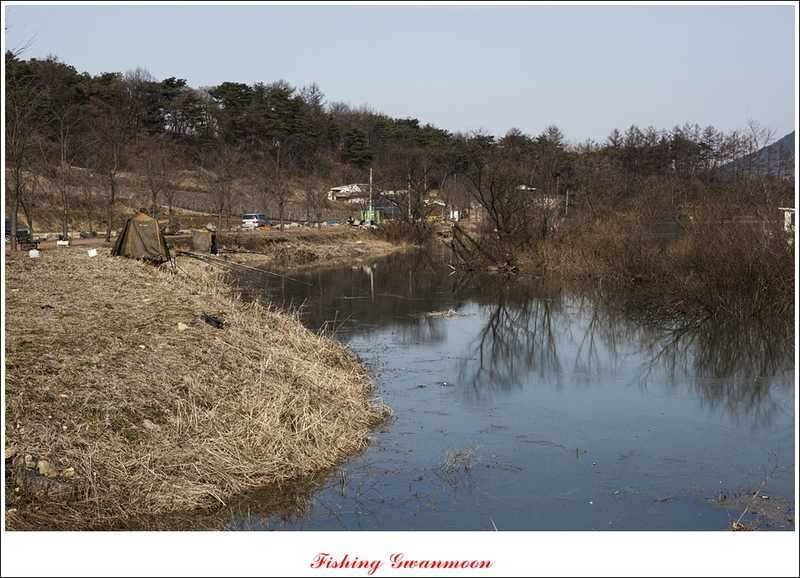 달천강괴산권 조황 (조황조행기 - 특파원조황)