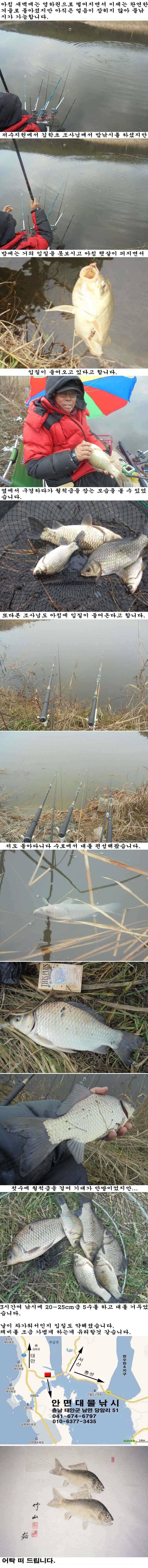 1220 안면도권 저수지 및 수로 조황 (조황조행기 - 특파원조황)
