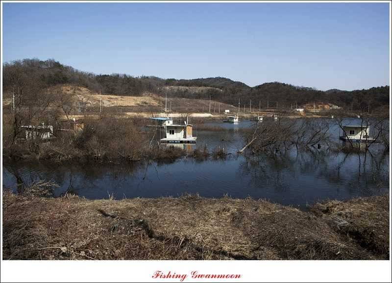 달천강괴산권 조황 (조황조행기 - 특파원조황)