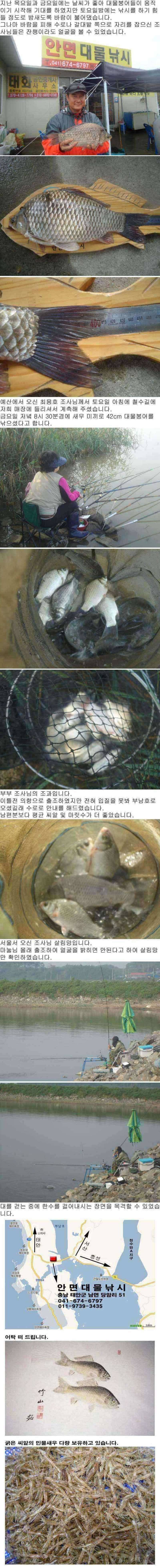 부남호 주말조황 안내 (조황조행기 - 특파원조황)