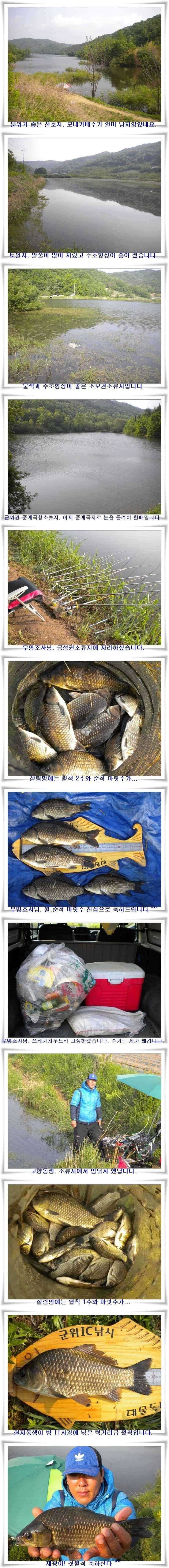 월척과 마릿수조황 (조황조행기 - 특파원조황)