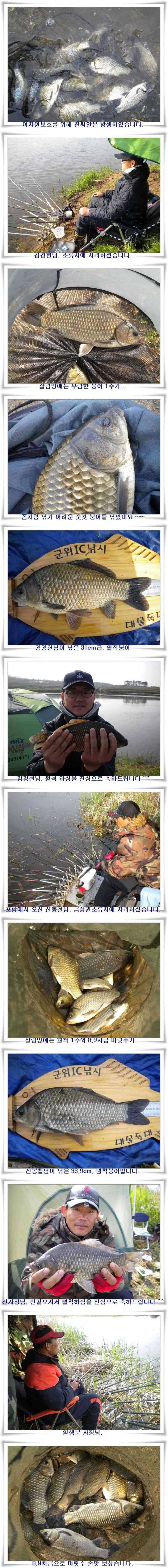 월척과 마릿수조황 (조황조행기 - 특파원조황)