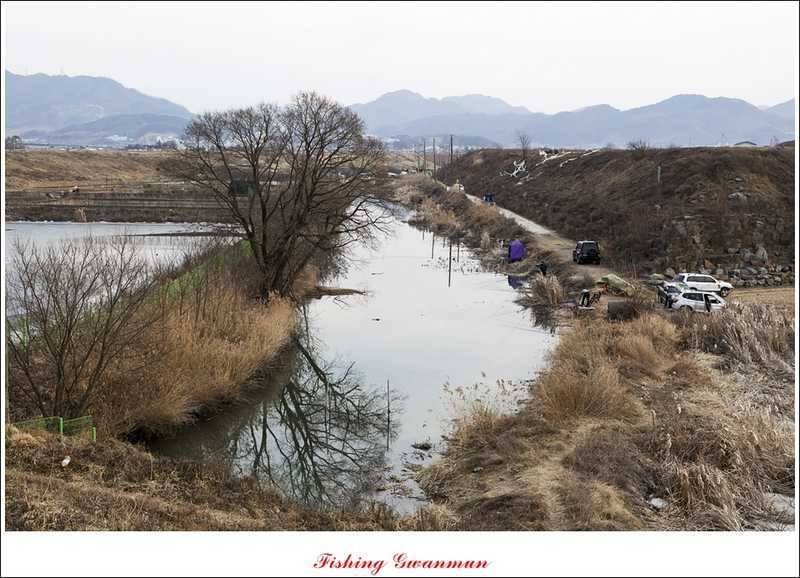 붕어 손맛 보기 힘드네요 (조황조행기 - 특파원조황)