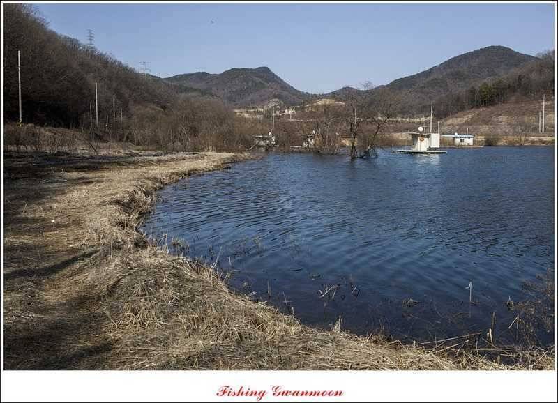 달천강괴산권 조황 (조황조행기 - 특파원조황)