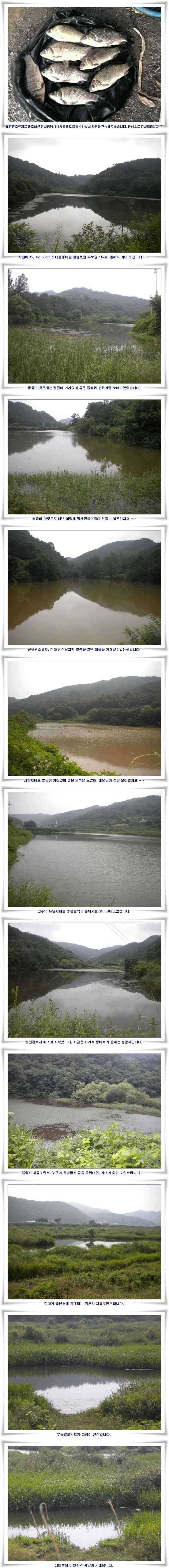 기록경신465 월척행진 (조황조행기 - 특파원조황)