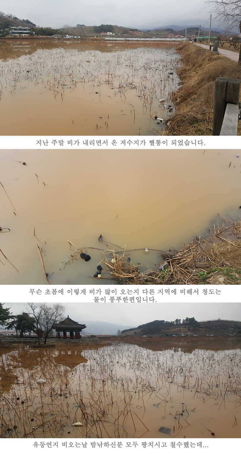 청도권 주말 이번주 조황입니다 (조황조행기 - 특파원조황)