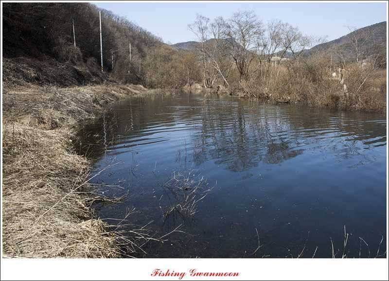 달천강괴산권 조황 (조황조행기 - 특파원조황)