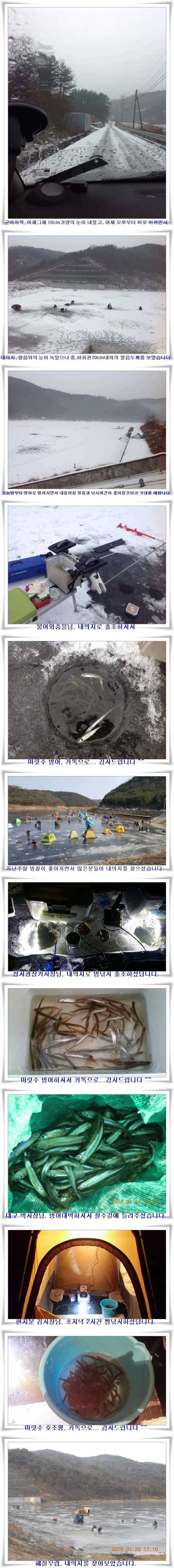 내의지 낚시여건 (조황조행기 - 특파원조황)