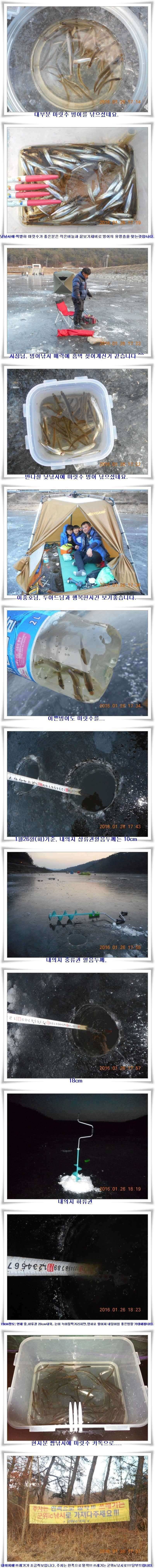 내의지 낚시여건 (조황조행기 - 특파원조황)