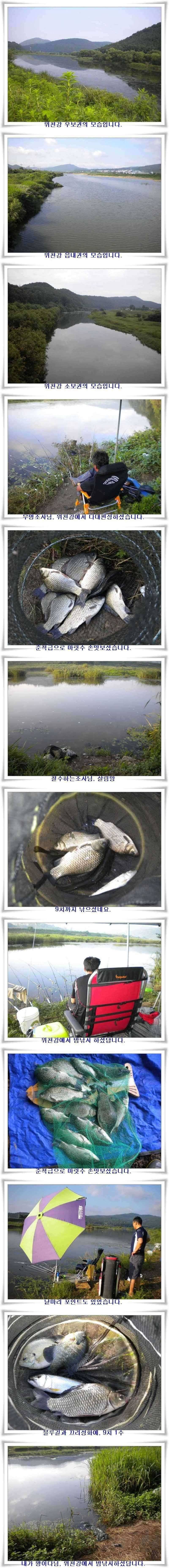 강낚시 호조황 (조황조행기 - 특파원조황)