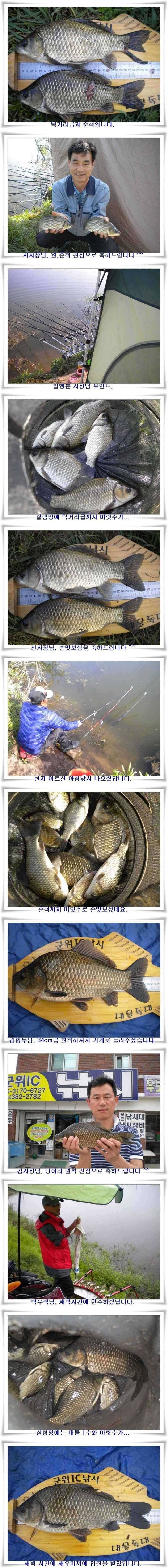 최고의 대박조황과 배수시작 (조황조행기 - 특파원조황)