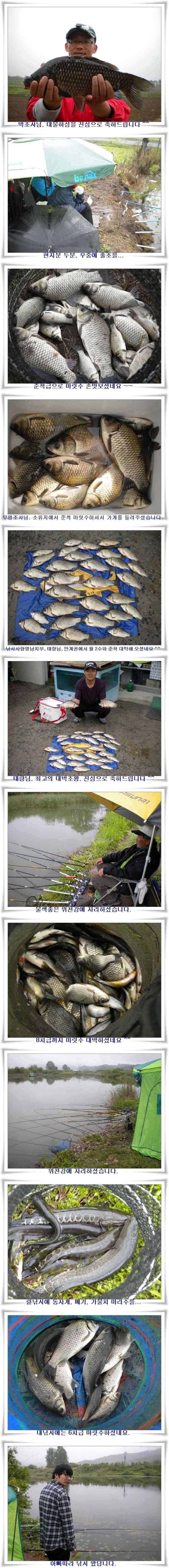 최고의 대박조황과 배수시작 (조황조행기 - 특파원조황)