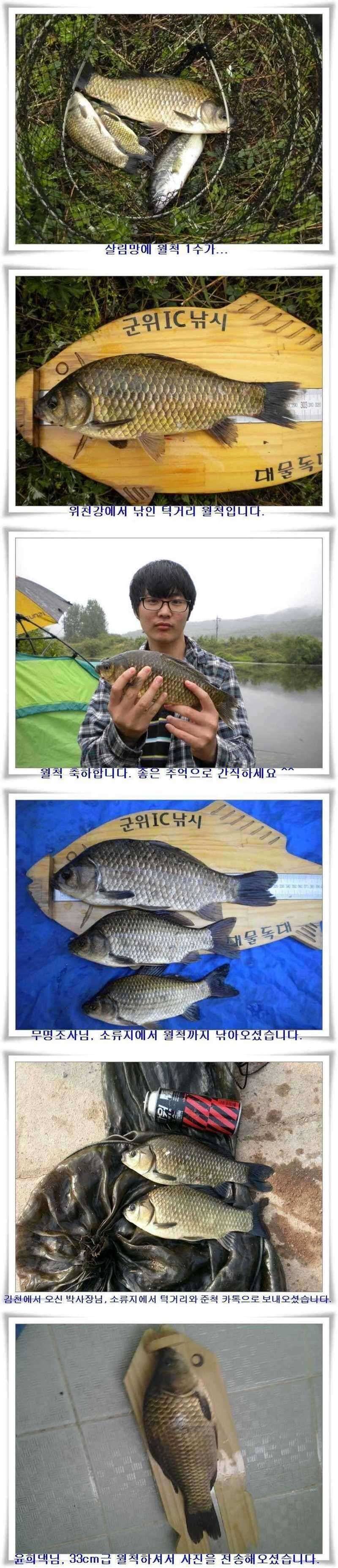 최고의 대박조황과 배수시작 (조황조행기 - 특파원조황)