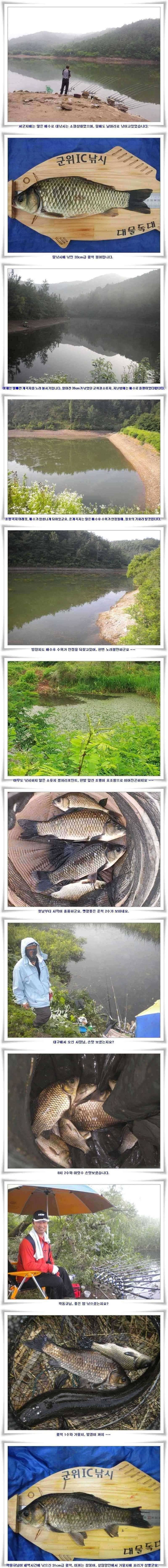 대형급의 출몰 (조황조행기 - 특파원조황)