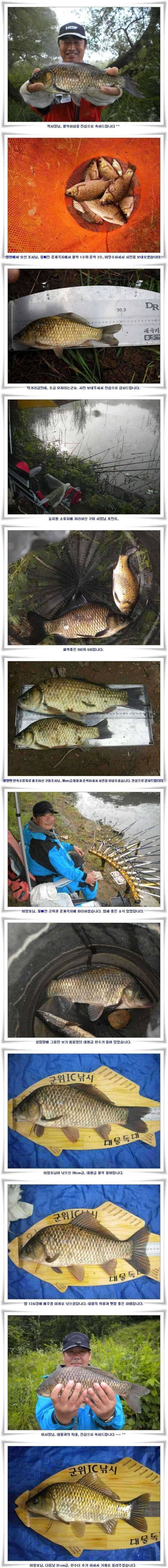 대형급의 출몰 (조황조행기 - 특파원조황)