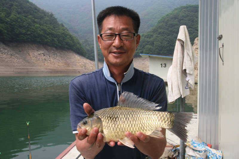 충주호 좌대 조황 (조황조행기 - 특파원조황)