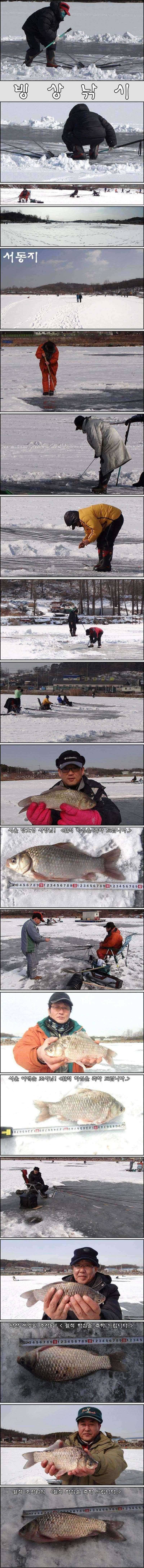 늦바람난 오산 서동지 (조황조행기 - 특파원조황)