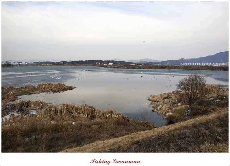 붕어 손맛 보기 힘드네요 (조황조행기 - 특파원조황)