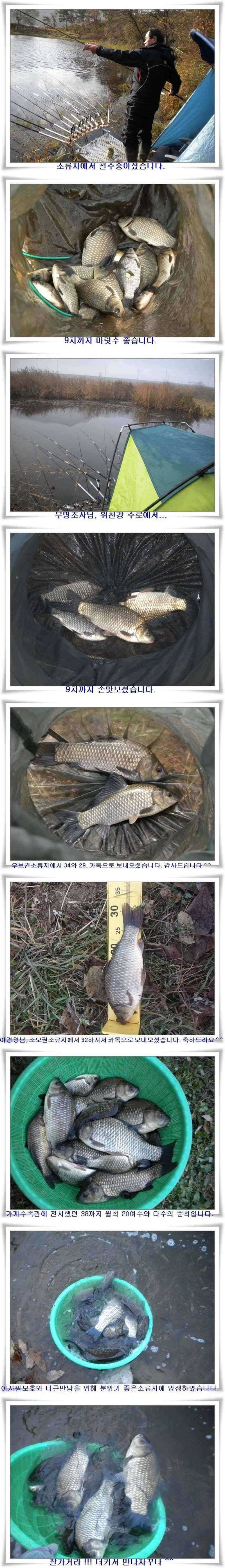 얼음얼때까지 쭉 갑니다 (조황조행기 - 특파원조황)