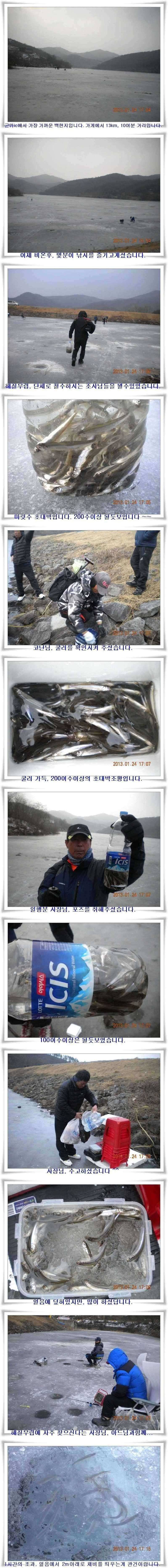 빙어 초대박 조황 (조황조행기 - 특파원조황)