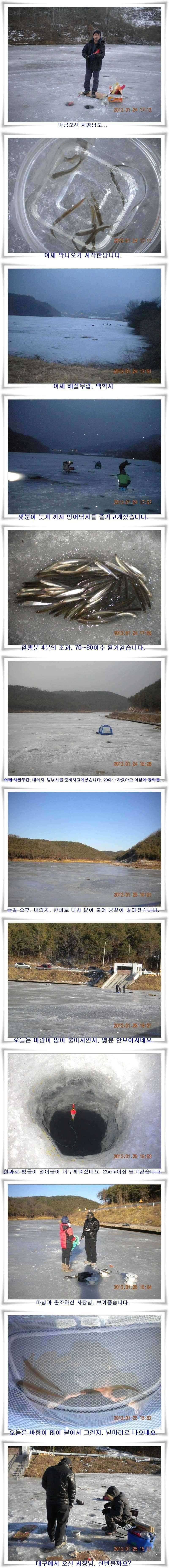 빙어 초대박 조황 (조황조행기 - 특파원조황)