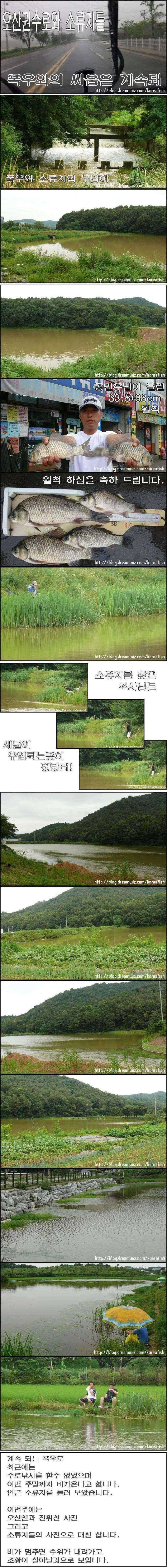 소류지월척과 장마와의 전쟁 (조황조행기 - 특파원조황)