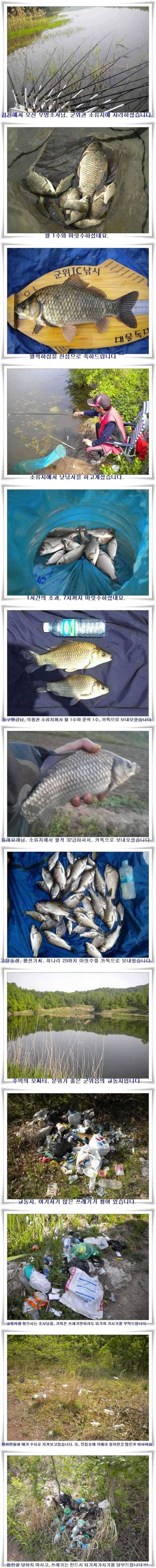 월척과 마릿수조황 (조황조행기 - 특파원조황)