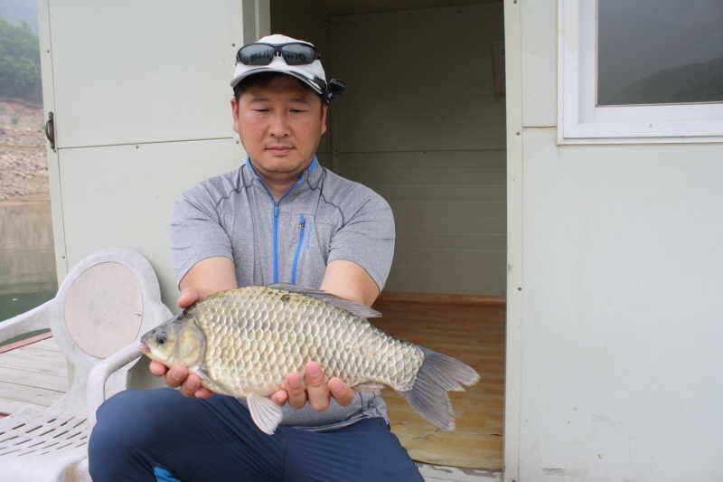 솔낚시터 42cm 대물붕어 서운낚시터 장어소식입니다 (조황조행기 - 특파원조황)