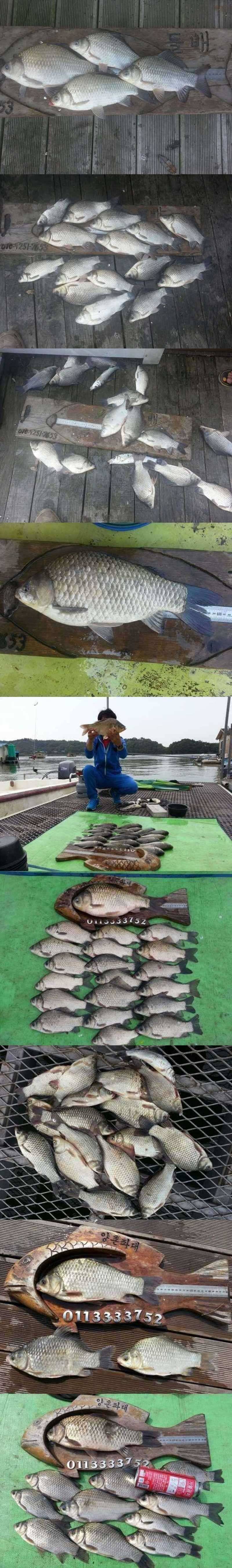 고삼지 새롭게 떠오르는 새우낚시터 (조황조행기 - 특파원조황)