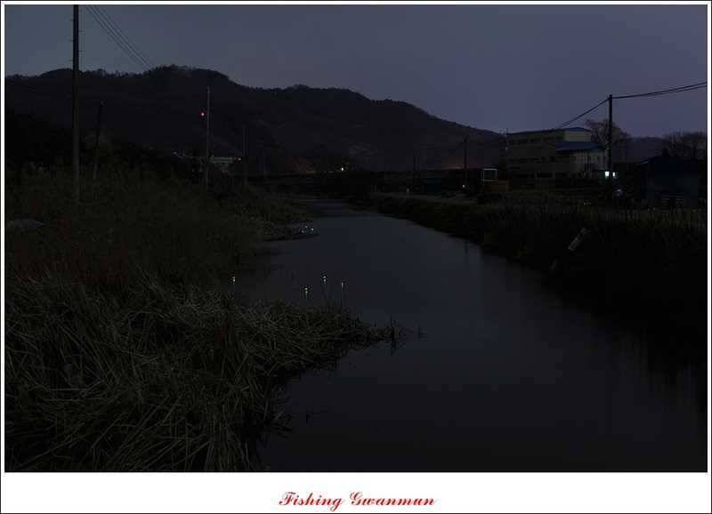붕어 손맛 보기 힘드네요 (조황조행기 - 특파원조황)