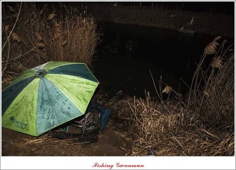붕어 손맛 보기 힘드네요 (조황조행기 - 특파원조황)
